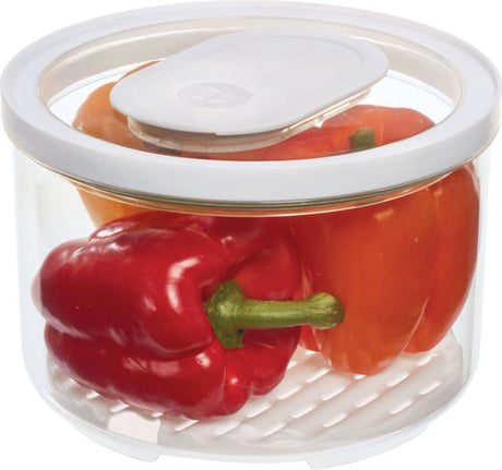 Idesign - bol de nourriture fraîche id fresh grand - zylar - transparent