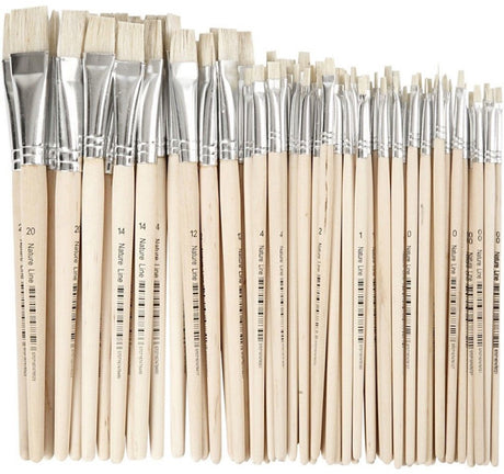 Pinceaux Creativ company nature line, taille 00+0+1+2+4+12+14+20, l: 18-22 cm, l: 3-20 mm, plats, 68 pièces 1 boîte