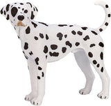 Dalmatien des terres agricoles Mojo - 387248
