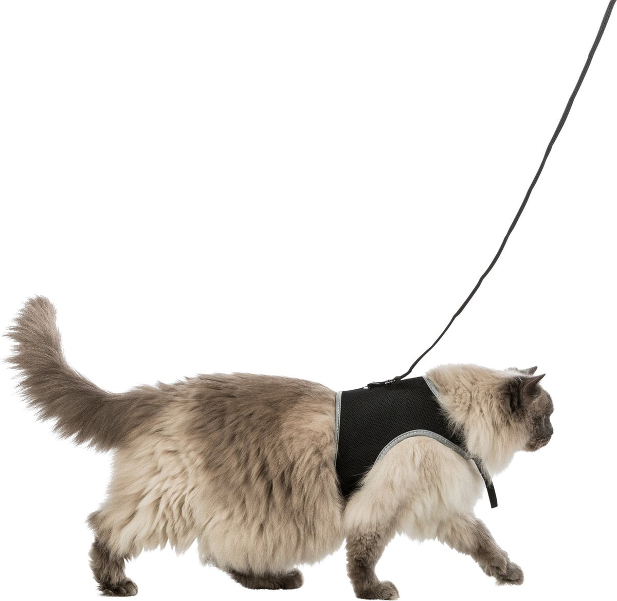 Harnais souple pour chat Trixie - noir - 1,2 m