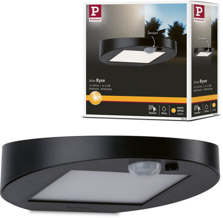 Applique murale LED solaire Paulmann pour détecteur de mouvement extérieur Ryse ip44 3000k 30lm anthracite