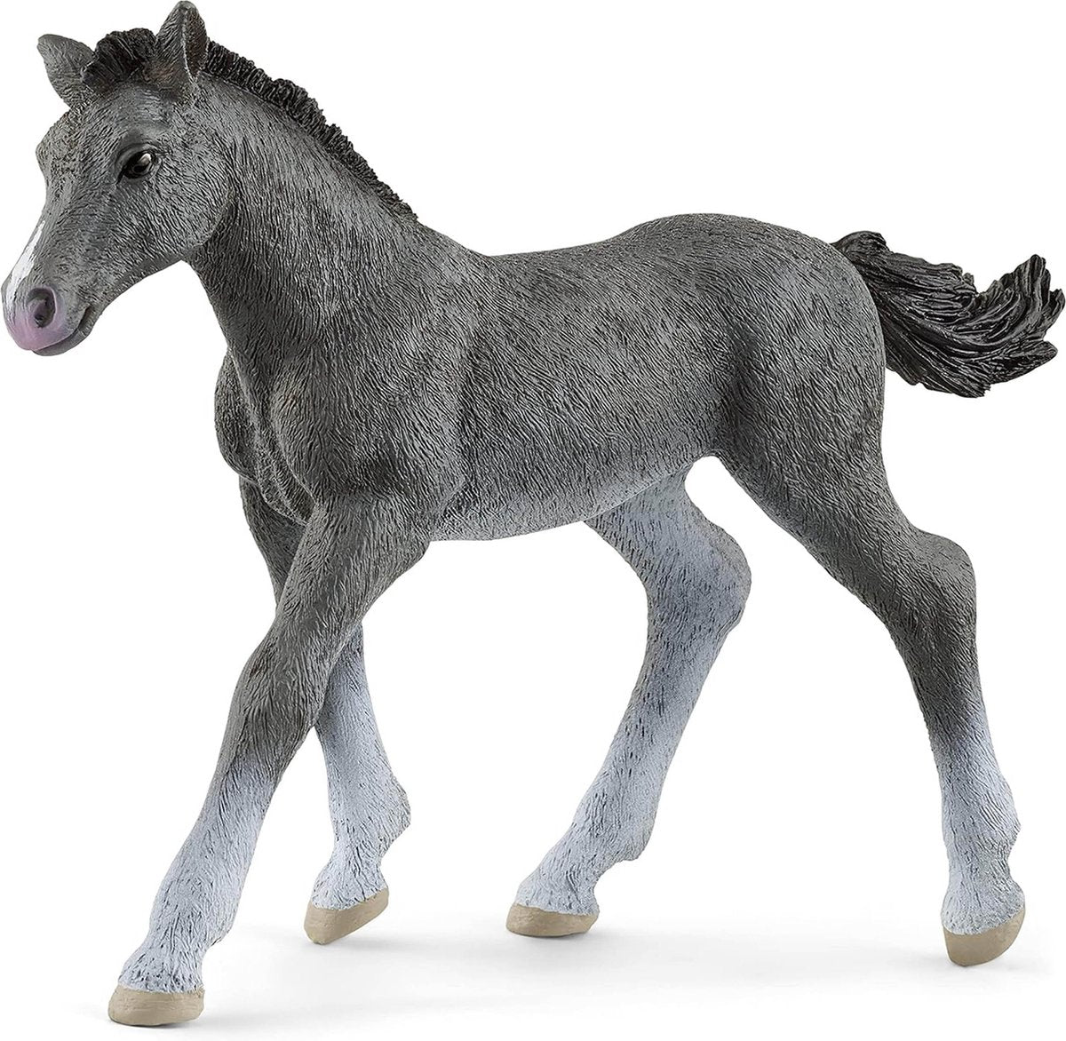 Club équestre Schleich - Poulain Trakehner - Figurine de jeu - Jouets pour enfants pour garçons et filles - 5 à 12 ans -13944