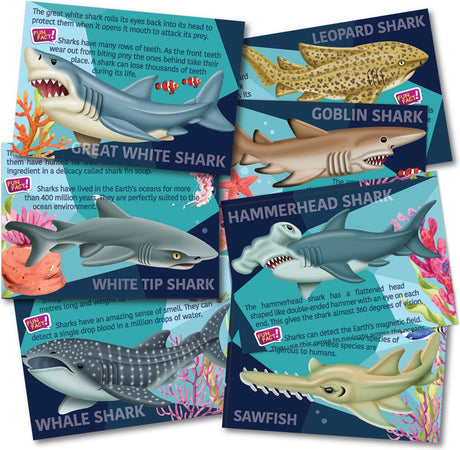 Artisanat 4m - verser et peindre - aimants requin brillants 3D - jouets créatifs - paquet de loisirs en plâtre - moule et peinture - création - 5 ans