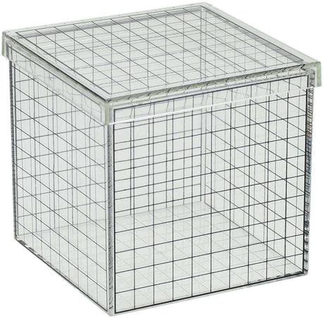 Cube grille 3D transparent pêche Albatros - 10x10x10 cm
