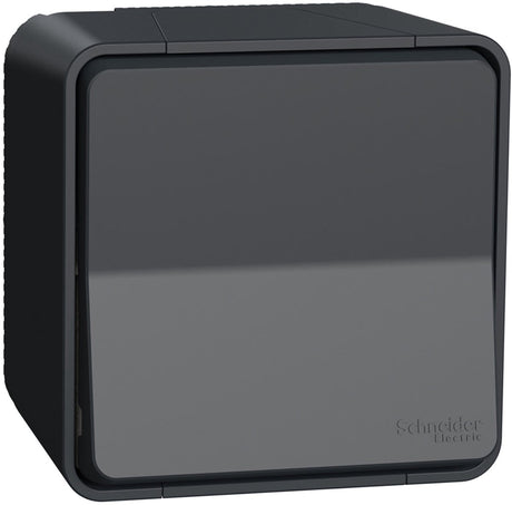 Interrupteur inverseur extérieur Schneider electric - en saillie - anthracite - style mureva - - mur35021