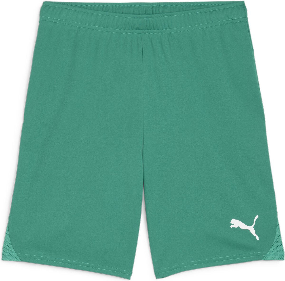 Puma teamgoal shorts pantalon de sport pour hommes - sport vert-blanc