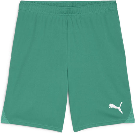 Puma teamgoal shorts pantalon de sport pour hommes - sport vert-blanc