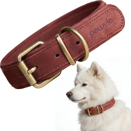Peluvio rexor – collier pour chien en cuir – marron – m-l 37-47 cm – 3,5 cm de large – collier réglable en cuir de vachette – boucle en cuivre – pour chiens de grande taille et de taille moyenne
