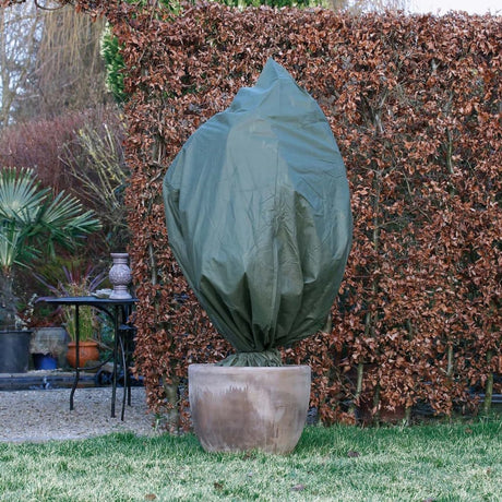 Nature Wintersvliekerdeken Covers 2 st 50 g m² 150x75 cm vert