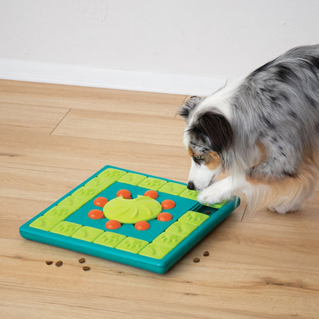 Nina Ottosson multipuzzle bleu