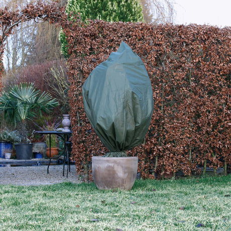 Nature Wintersvliekerdekozen 3 st 50 g m² 100x50 cm vert