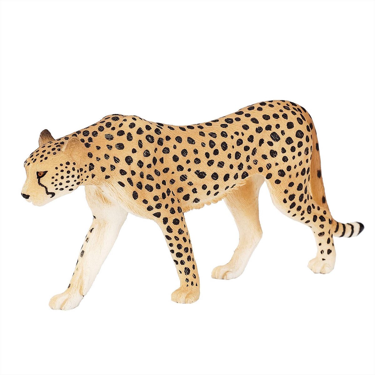 Guépard sauvage Mojo mâle - 387197