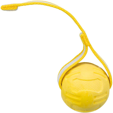 Trixie ballon de sport sur ruban TPR flottant assorti