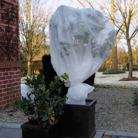 Couverture d'hiver nature 30 g m² 2x5 m blanc