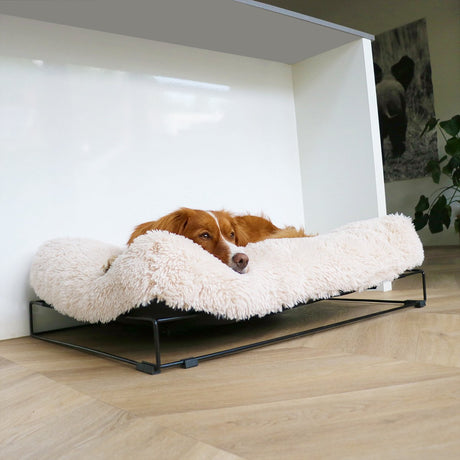 D d home - chien - coussin amy avec cadre l - 110x80x25cm blanc - 227259