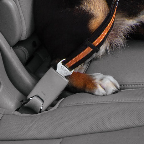 Boucle de ceinture de sécurité pour chien Kurgo - ceinture de sécurité avec mousqueton - s'adapte à toutes les ceintures de voiture - gris noir