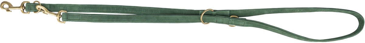Trixie laisse pour chien pur cuir réglable vert sauge