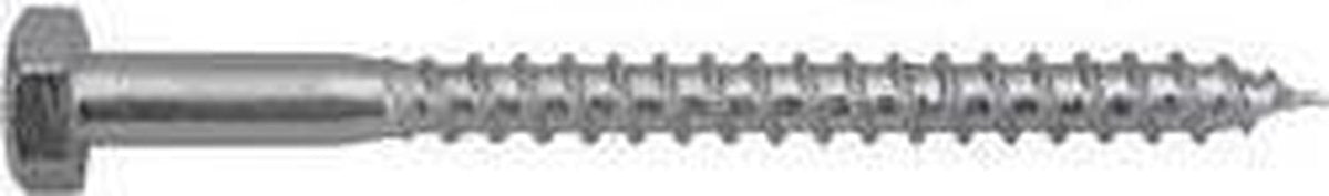 Swg 192 10 100 67 vis à bois 10 mm 100 mm DIN 571 acier galvanisé 25 pièce(s)