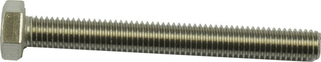 Bofix Hexagon Bolt M8-70 en acier inoxydable (12e)