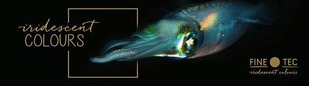 Ensemble de peinture aquarelle irisée Finetec ® Pixie Dust | 6 couleurs