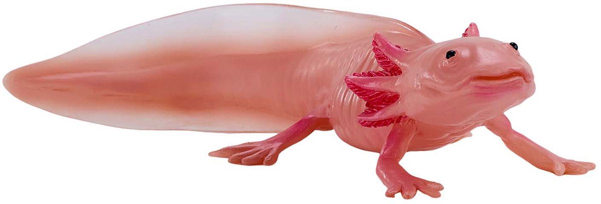 Mojo faune axolotl 381108