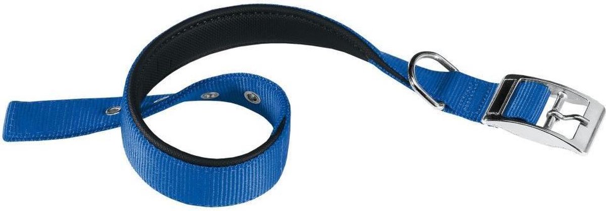 Ferplast collier pour chien daytona 35 x 1,5 cm acier nylon bleu
