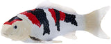 Carpe koi Mojo sealife - showa sanshoku koi - 381103
