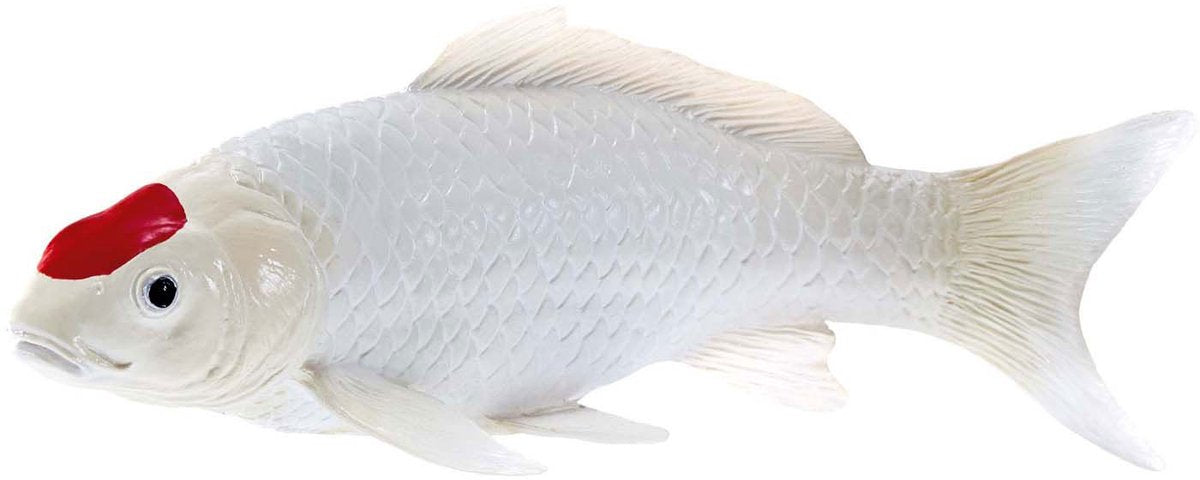 Carpe koi Mojo sealife - tancho koi - 381101