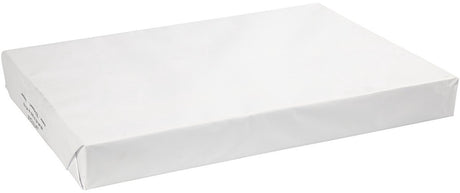 Papier à dessin Creativ company, a2, feuille 420x594 mm, 160 gr, blanc, 250 feuilles 1 boîte