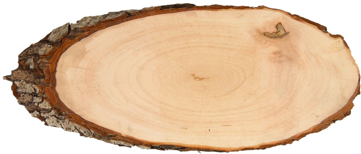 Plaque signalétique en bois Playwood écorce d'arbre 30 cm jouets créatifs.