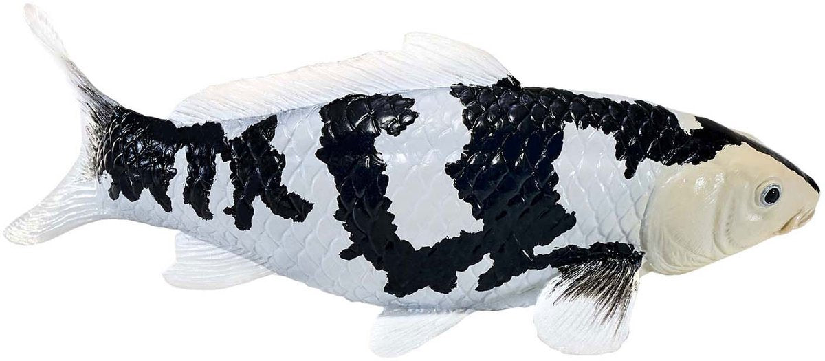 Carpe koi Mojo sealife - shiro utsuri koi - 381102