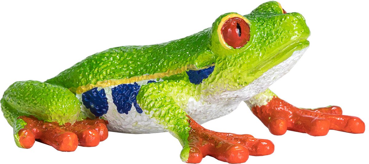 Rainette aux yeux rouges Mojo Wildlife - 387299