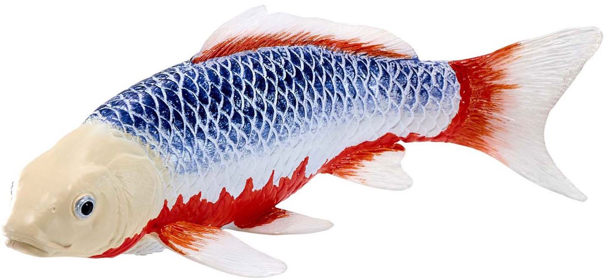 Carpe koi Mojo sealife - asagi koi - 381100