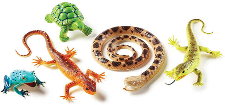 Ressources d'apprentissage sur les amphibiens et les reptiles géants - 3+