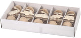 Entreprise créative https: www.ccobby.nl memoclip-h-10-cm-d-5-cm-10-piece-1-box