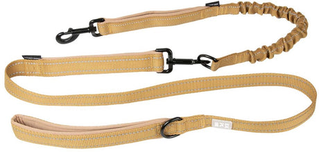 Explor duvoplus Ultimate Fit laisse 2en1 classique pour chiens 180cm-25mm or miel