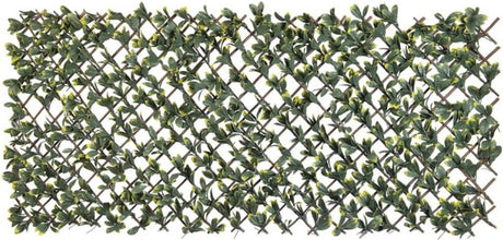 Nature Latwerk avec California Liguster Green and Yellow Blade 90x180 cm