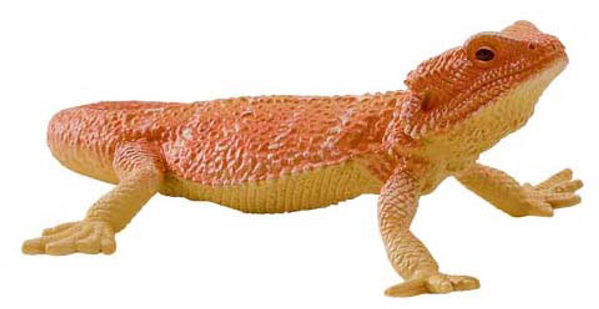 Dragon barbu Mojo Wildlife - 381096