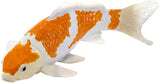 Carpe koi Mojo sealife - ochiba shigure koi - 381104