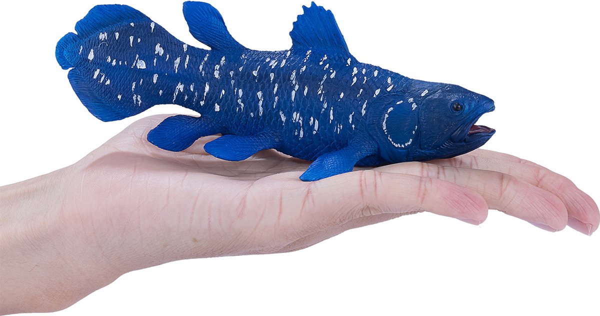 Cœlacanthe Mojo sealife - 381050