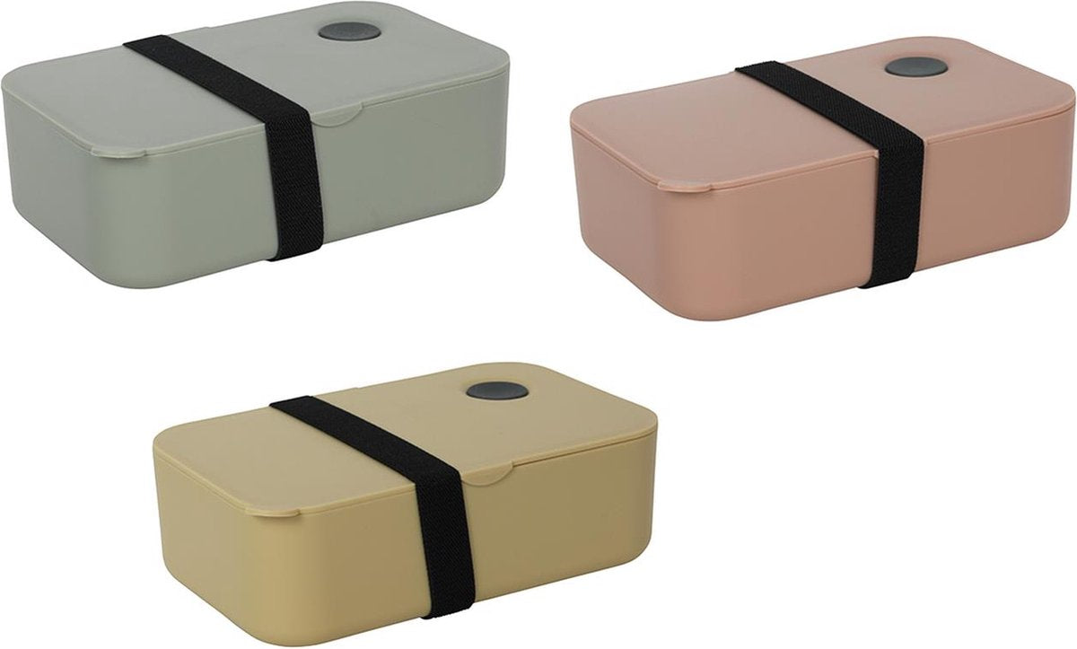 Boîte à lunch No Brand 19,5x11,5x6,5cm assorties | 3 pièces