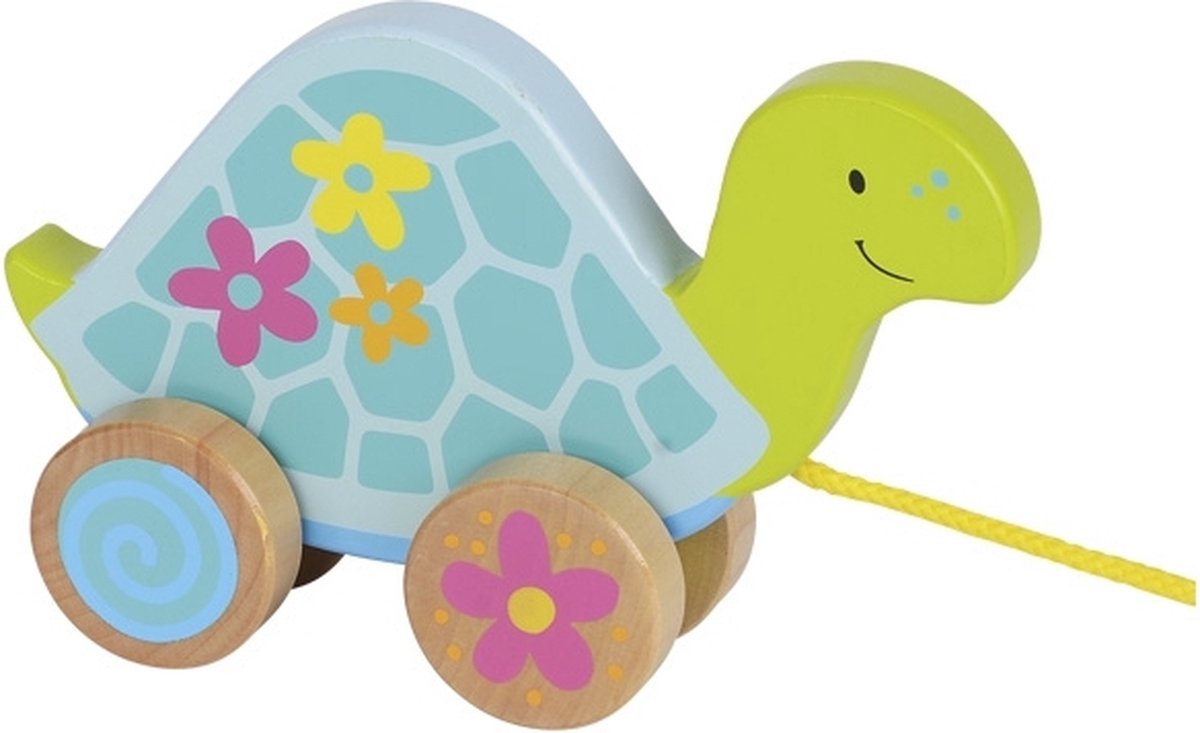 Animal de trait Goki - tortue