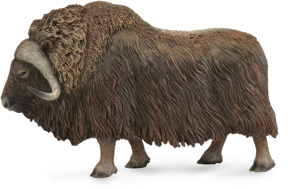 Figurine Collecta - bœuf musqué - (l) - animaux sauvages - peint à la main - miniature