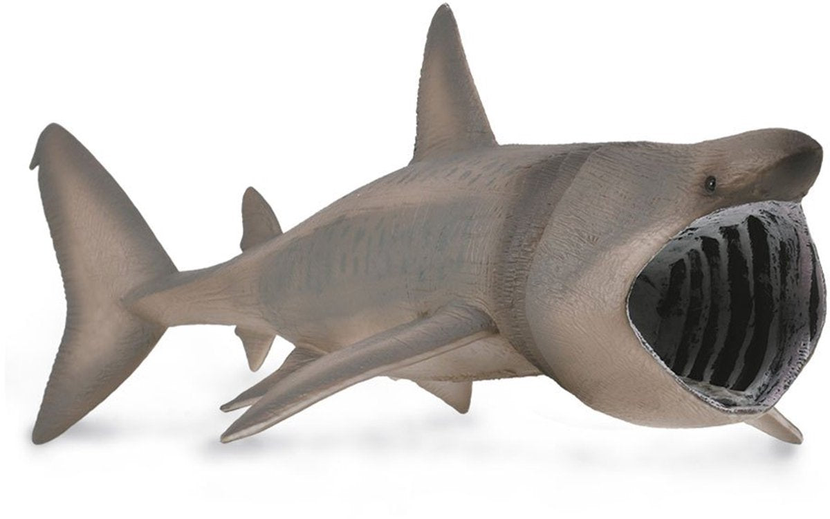 Figurine Collecta - requin pèlerin - (xl) - animaux marins - peint à la main - miniature