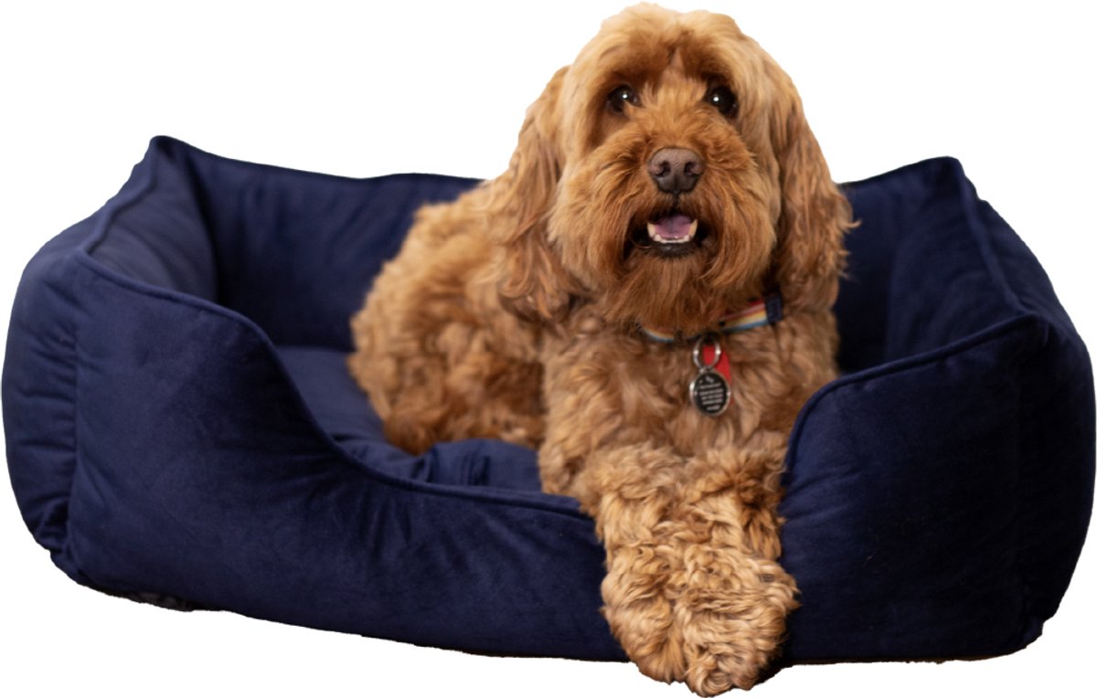 Lit pour chien en velours de luxe en bois de rose - petit - lit pour chien doux et confortable - bleu marine - chaise longue élégante pour chiens et chats - 46 x 36 cm