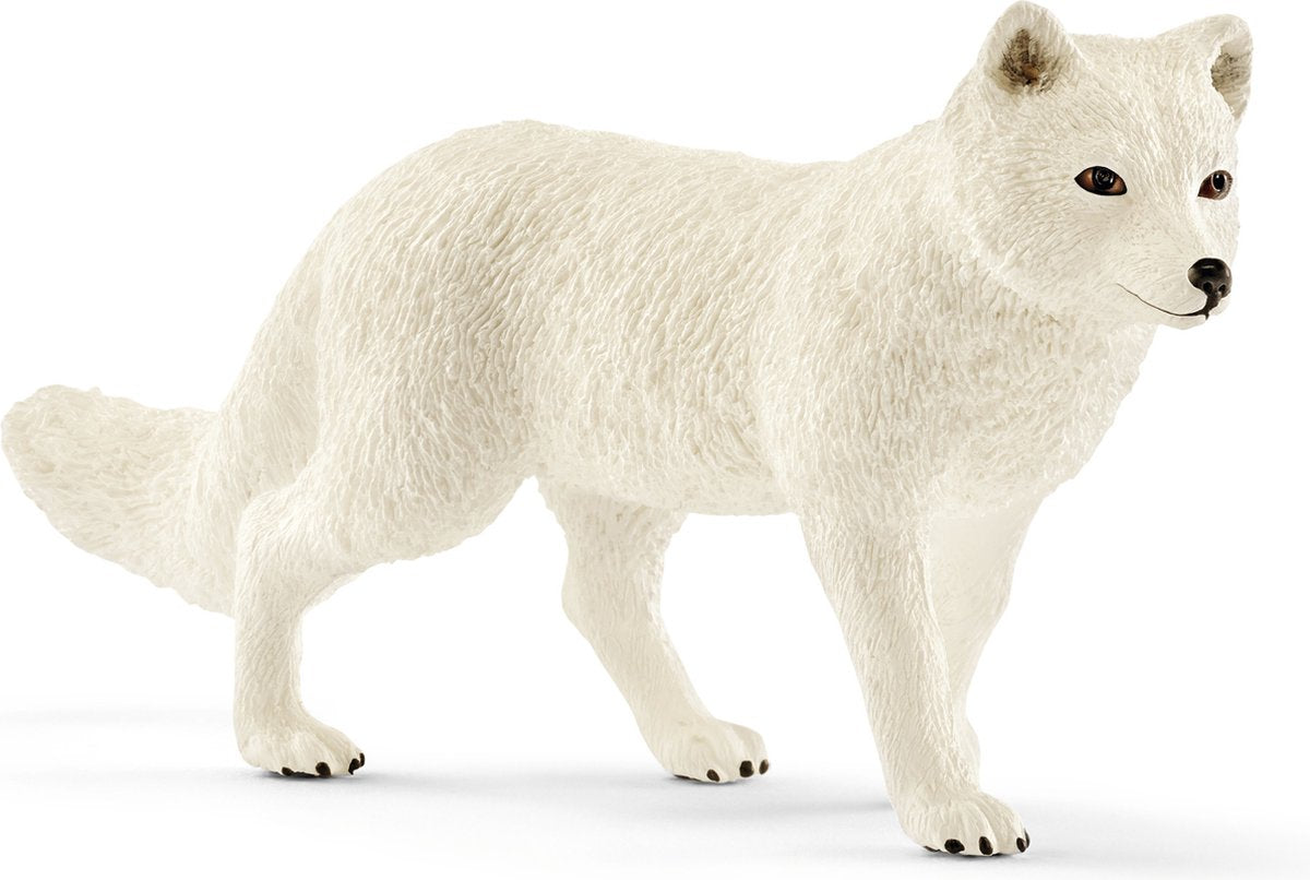 Schleich safari - renard arctique 14805