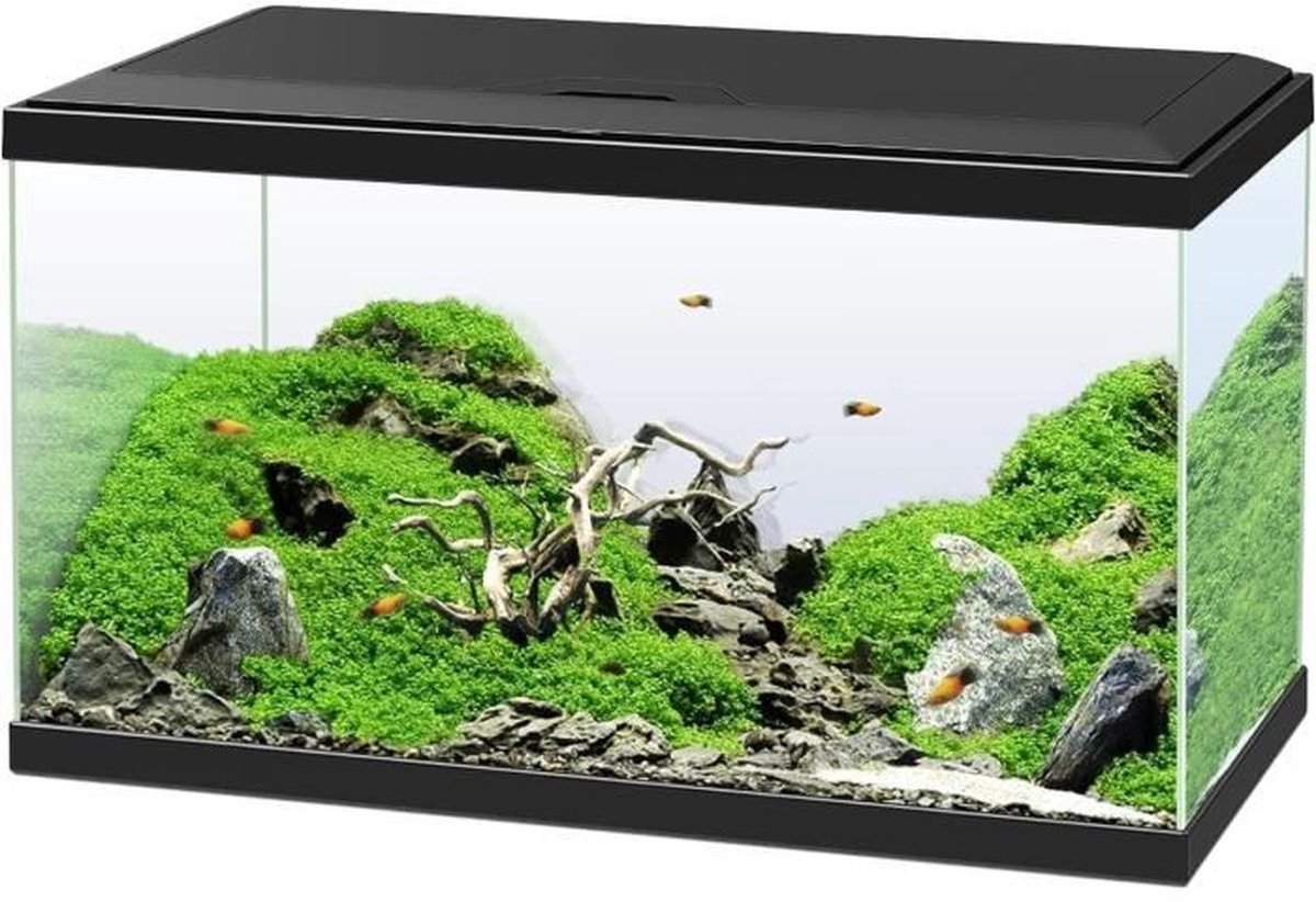 Ciano – emotion pro 60 l – ensemble aquarium – filtre cf80 – led 50w