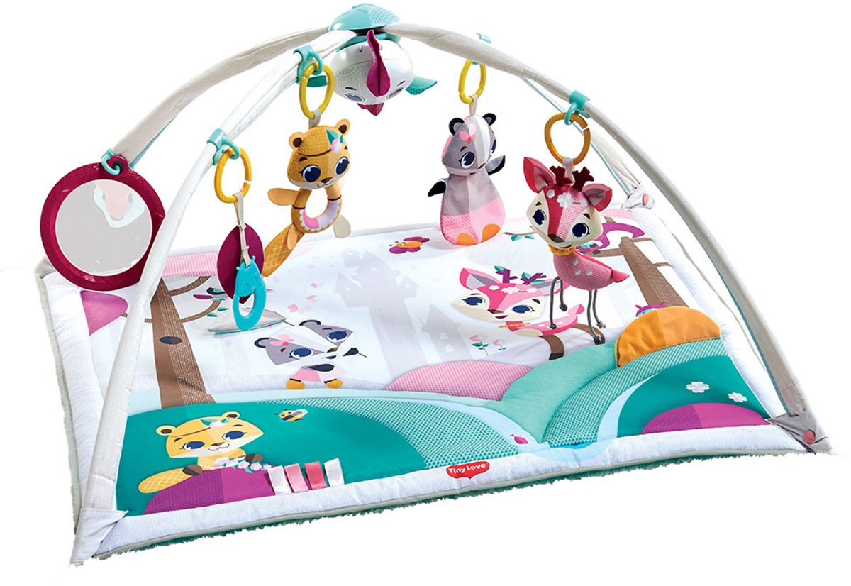 Tiny love baby gym gymini deluxe - contes de princesses - de la naissance à 1 an