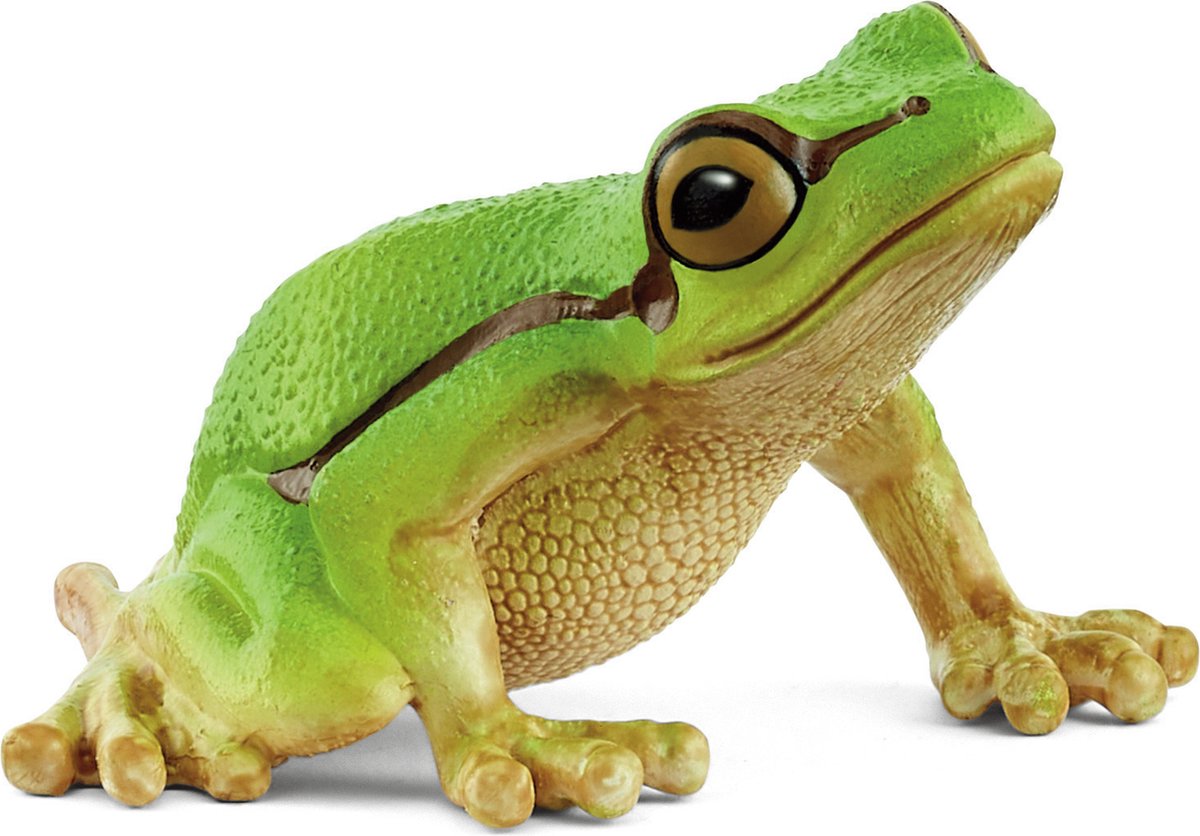 Schleich 14882 Rainette européenne