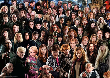 Ravensburger puzzle Harry Potter - puzzle - 1000 pièces